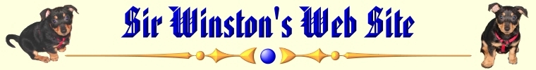 Visit Sir Winston - Temporary Logo